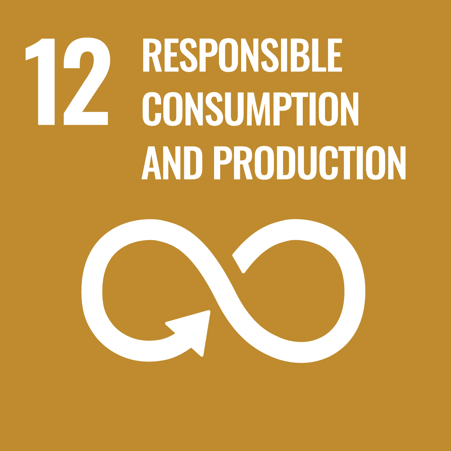 Goal 12 RESPONSIBLE CONSUMPTION AND PRODUCTION title=
